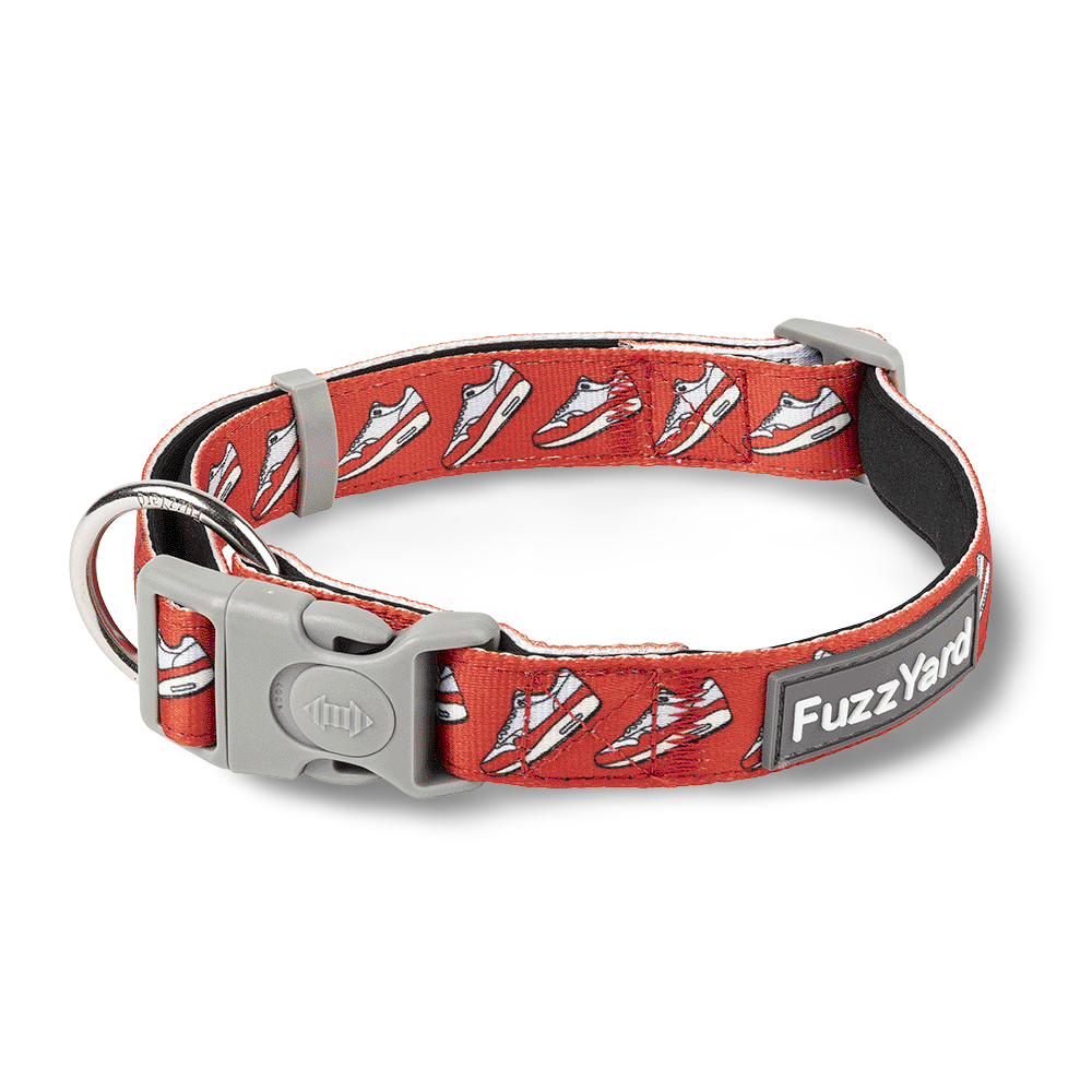Fuzzyard Dog Collar - Fresh Kicks
