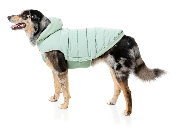 Essential Puffer Jacket - Mint