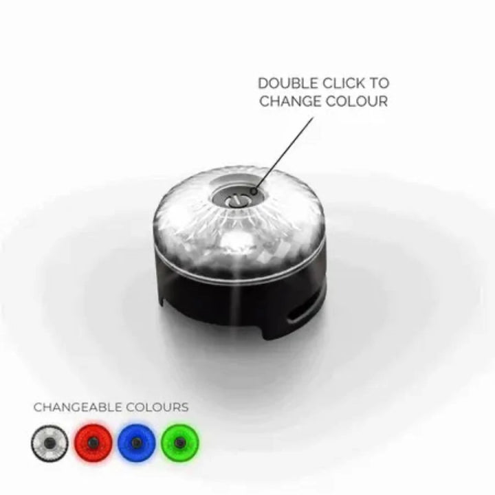 EzyDog Go2 Attachable Dog Light - Multi