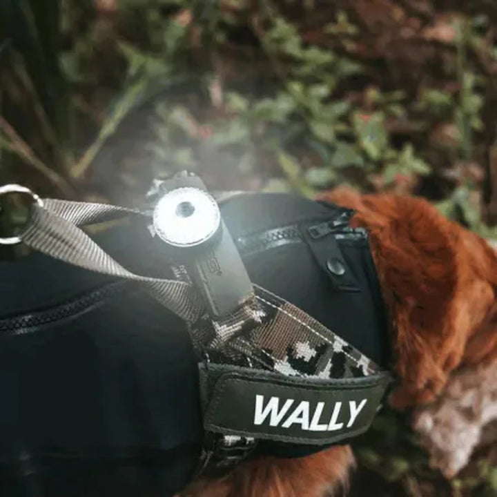 EzyDog Go2 Attachable Dog Light - Multi