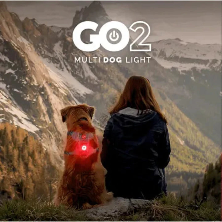 EzyDog Go2 Attachable Dog Light - Multi