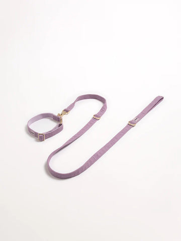 Hommey Boucle Pet Collar - Lilac