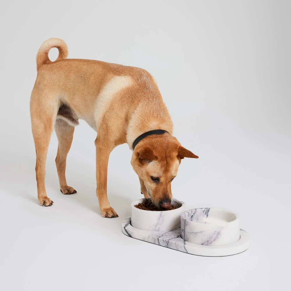 Koozi - New York Marble Dog Bowl