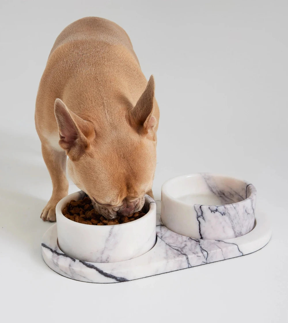 Koozi - New York Marble Dog Bowl