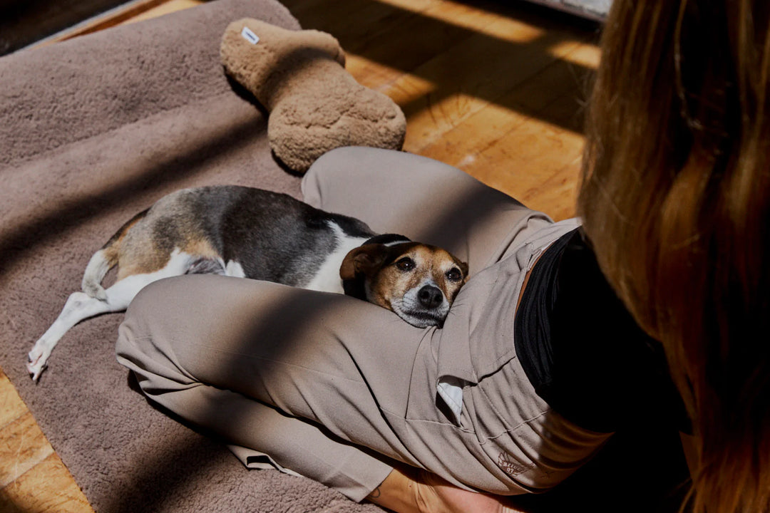 Hommey Faux Fur Pet Bed - Mushroom