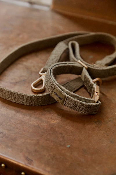Hommey Boucle Pet Collar - Olive