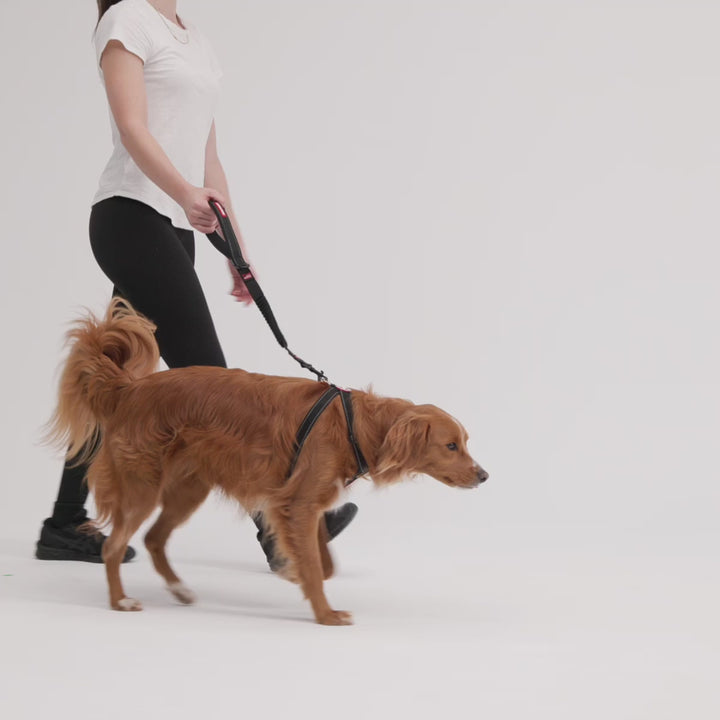 EzyDog Zero Shock Leash - Denim 64cm / 120cm