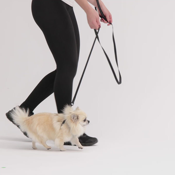 EzyDog Essential Lite Leash - Red