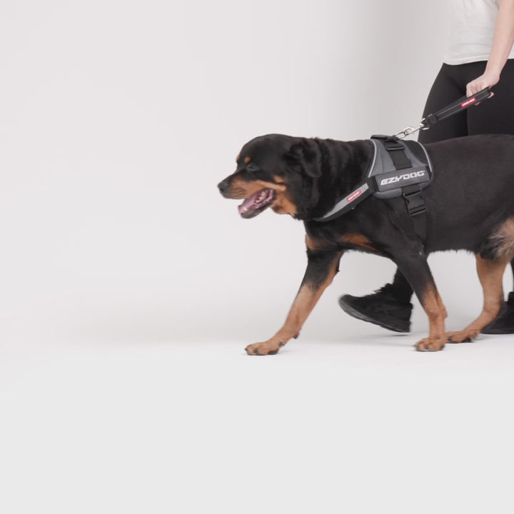 EzyDog Neo Mongrel Leash