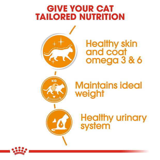 Royal Canin Feline Hair & Skin Wet Cat Food - 85gr