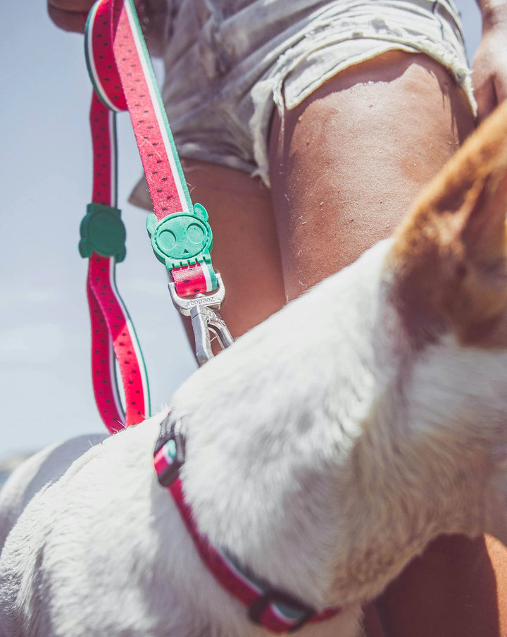 Zee.dog Lola Leash - Watermelon