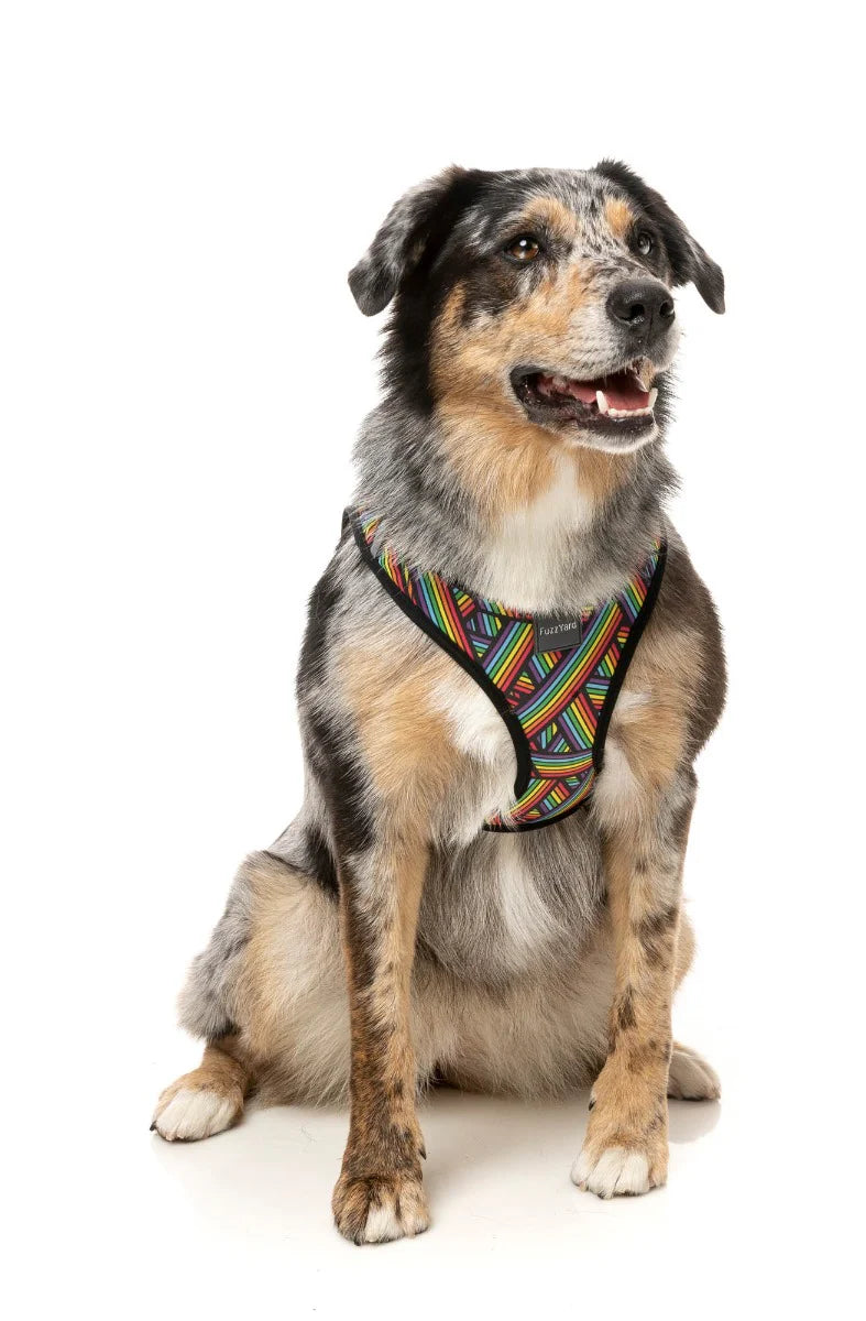 Fuzzyard Step In Dog Harness - Rainbow Northcote