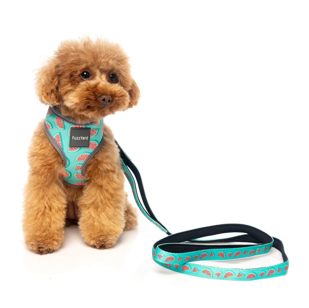 Fuzzyard Dog Harness - Summer Punch