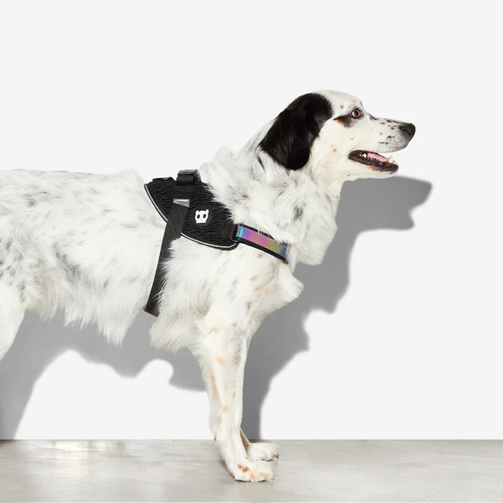 Zee.dog FlyHarness - Gotham