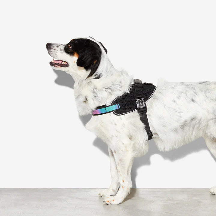 Zee.dog FlyHarness - Gotham