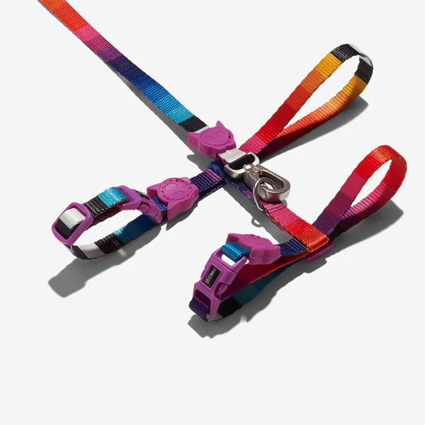 Zee.dog Cat Harness With Leash - Prisma