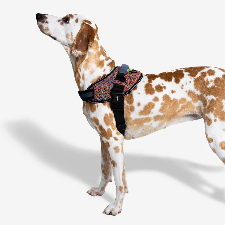 Zee.dog FlyHarness - Vortex