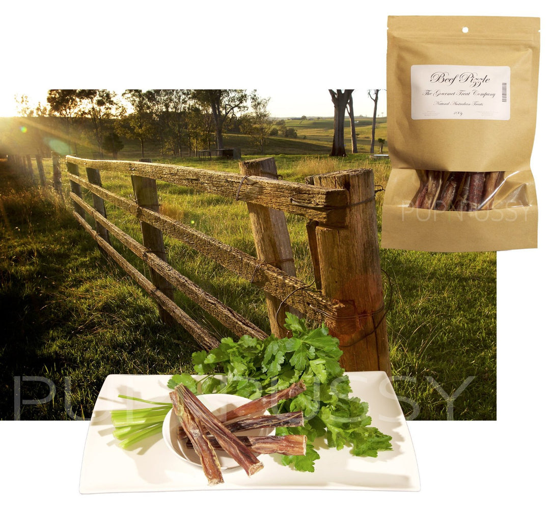 All-natural Australian beef pizzles dog treats from PupNpussy, premium high-protein chews supporting dental health and long-lasting enjoyment