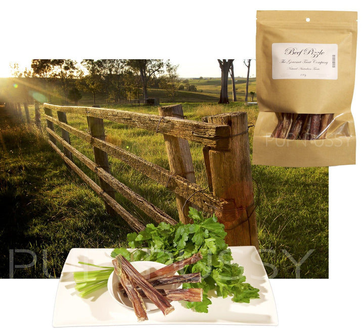All-natural Australian beef pizzles dog treats from PupNpussy, premium high-protein chews supporting dental health and long-lasting enjoyment