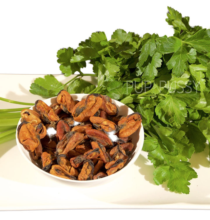 All-natural New Zealand green lip mussel dog treats from PupNpussy, slow-dried in Australia and rich in Omega-3 for joint support, healthy coat, and sustainable nutrition
