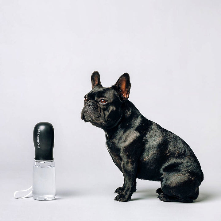 Thirsty Dog Bottle