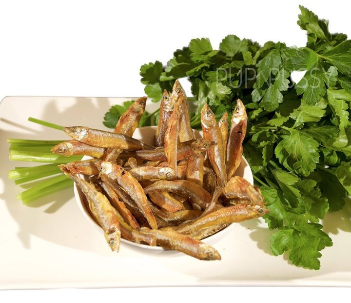 All-natural Australian whole fish dog treats from PupNpussy, packed with Omega-3, protein, and essential nutrients for dental health, shiny coats, and sustainable enjoyment