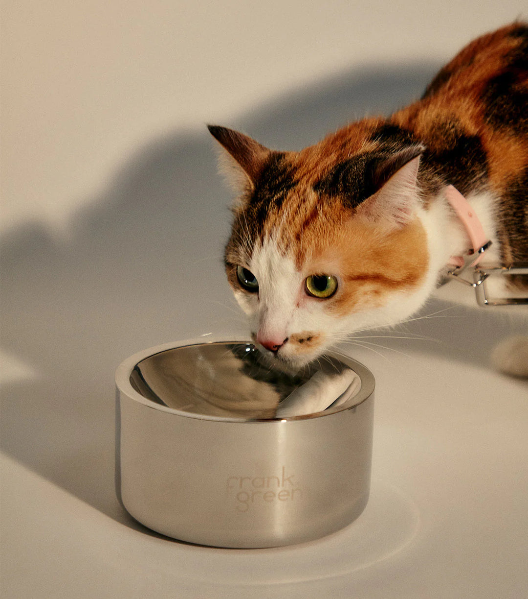 Frank Green Stainless Steel Pet Bowl