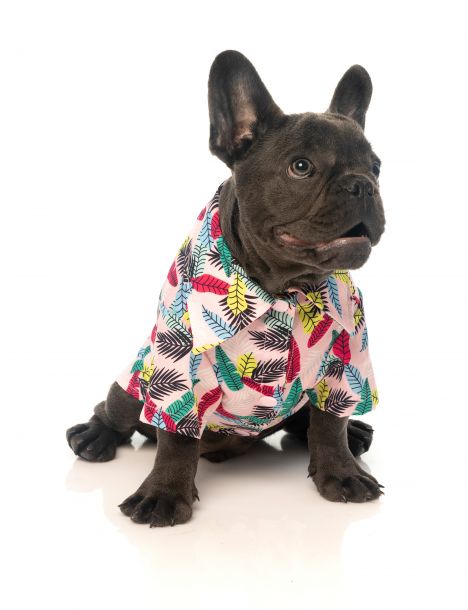 Fuzzyard Ohana Hawaiian Shirt
