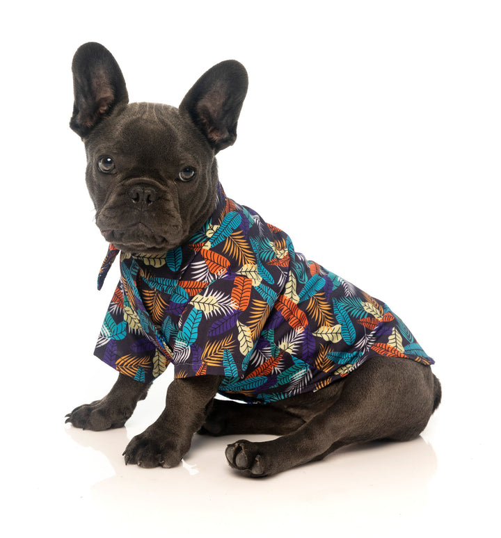 Fuzzyard Mahalo Hawaiian Shirt