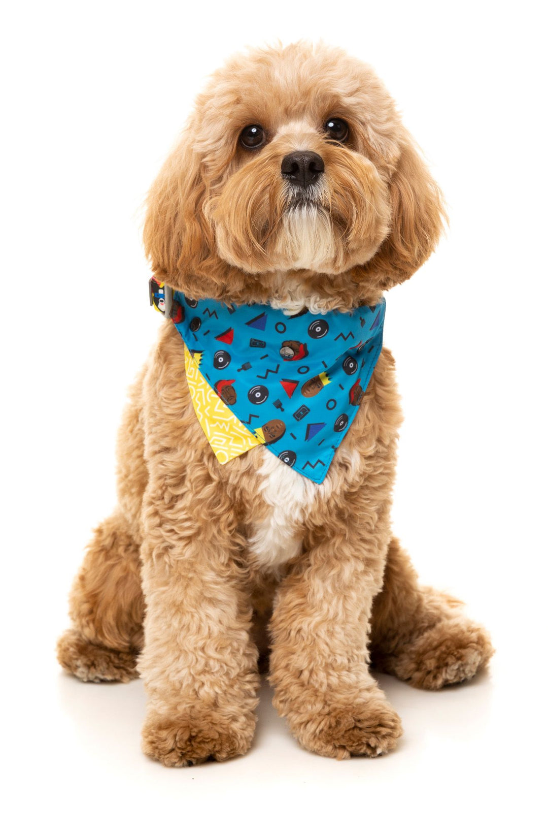 Kings of Gold School Bandana