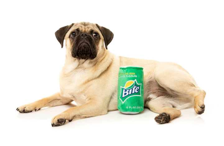 Plush Dog Toy Bite - Green