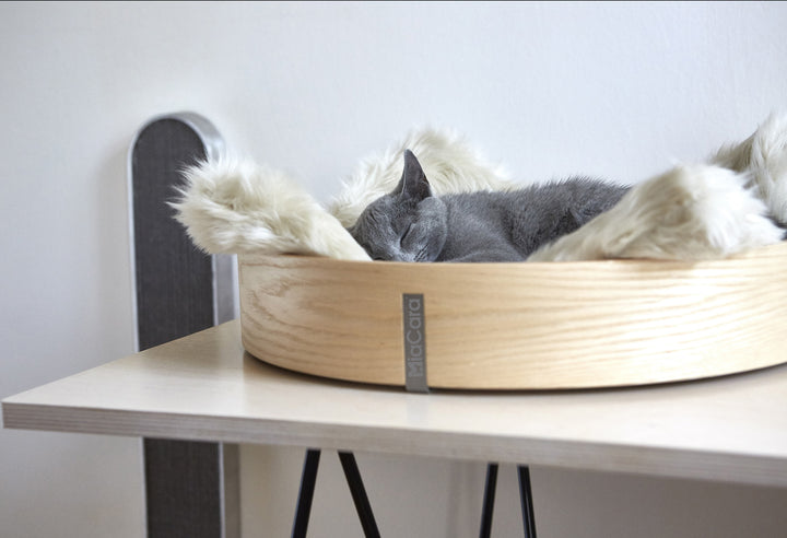 Anello Cat Basket by MiaCara